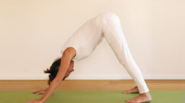 pracaya yoga heilung lebensberatung hatha yin kundalini 4 kurse pro Woche