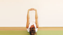 pracaya yoga heilung lebensberatung hatha yin kundalini 3 kurse pro Woche